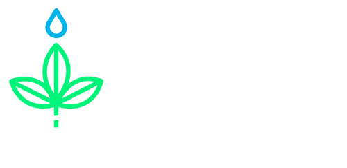 Car Ambiental